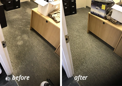 Carpet Cleaner Services
